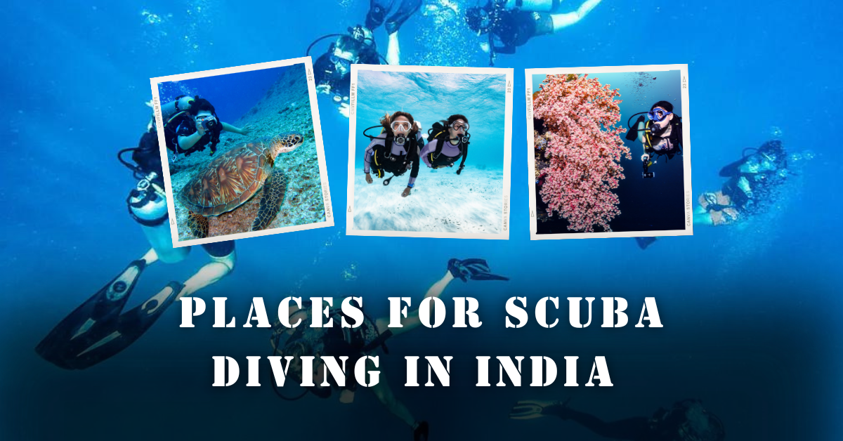 Top 10 Places for Scuba Diving in India that You Shouldn't Miss